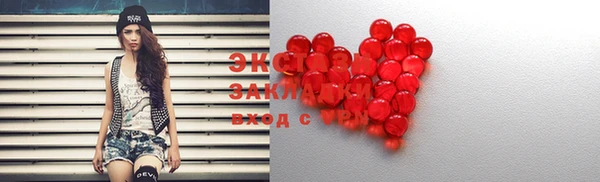СК Алексин