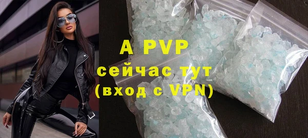 СК Алексин